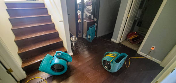 Best Emergency water damage restoration  in Westland, MI