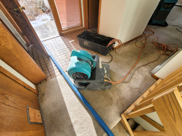Best Emergency water extraction  in Westland, MI