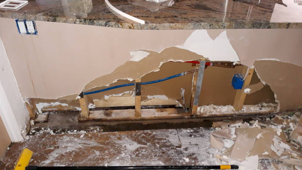 Best Fire Damage Restoration  in Westland, MI