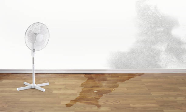 Westland, MI Water damage restoration Company