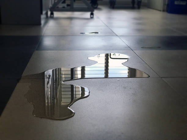 Local water damage restoration in Westland, MI