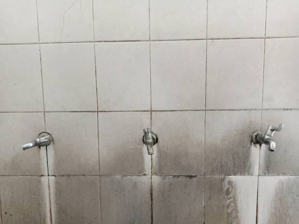 Best 24-hour water damage restoration  in Westland, MI