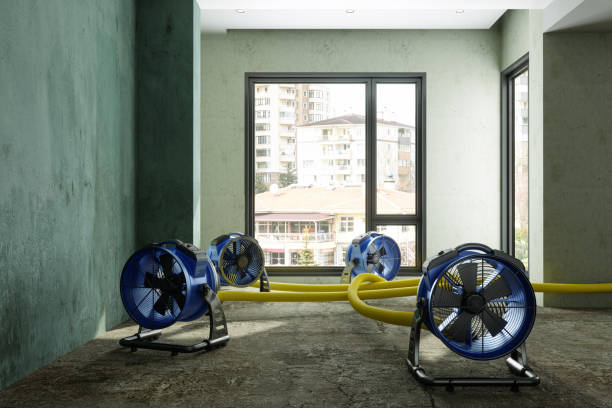 Best Water damage restoration services  in Westland, MI